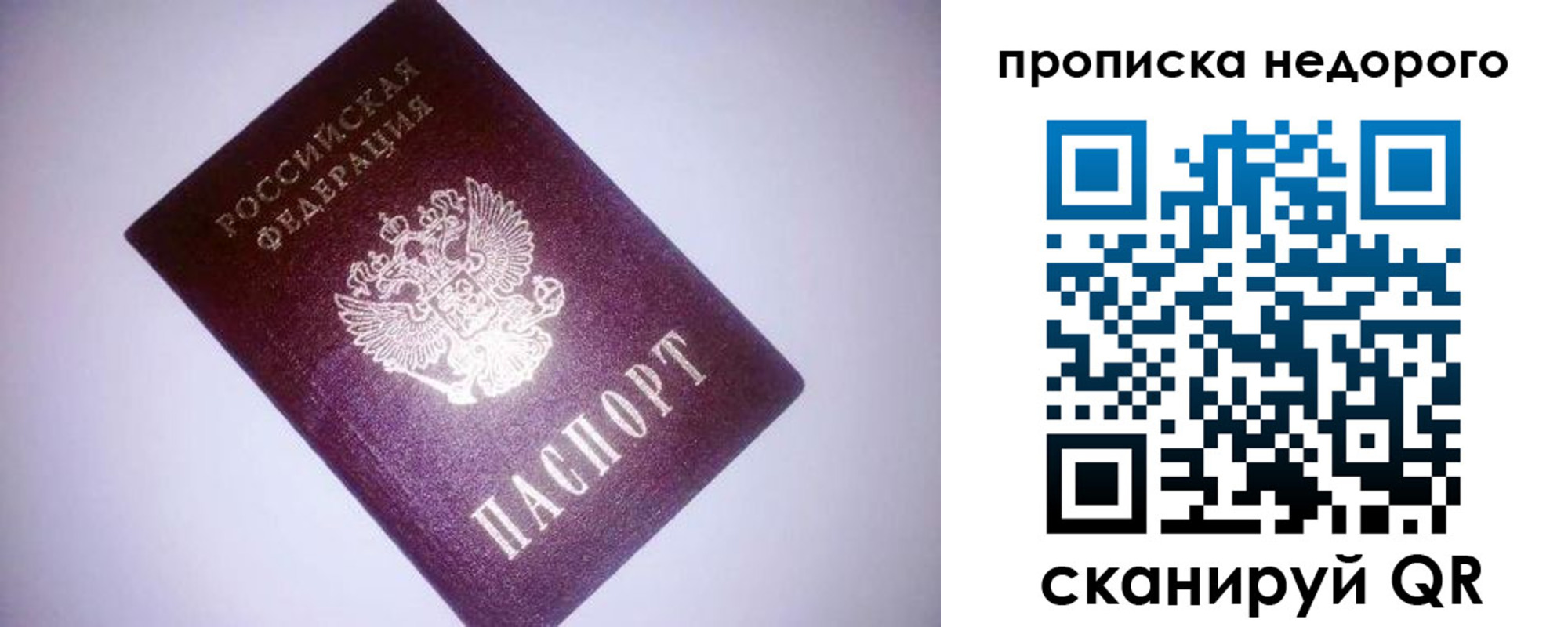 прописка для школы в Ленинградской области